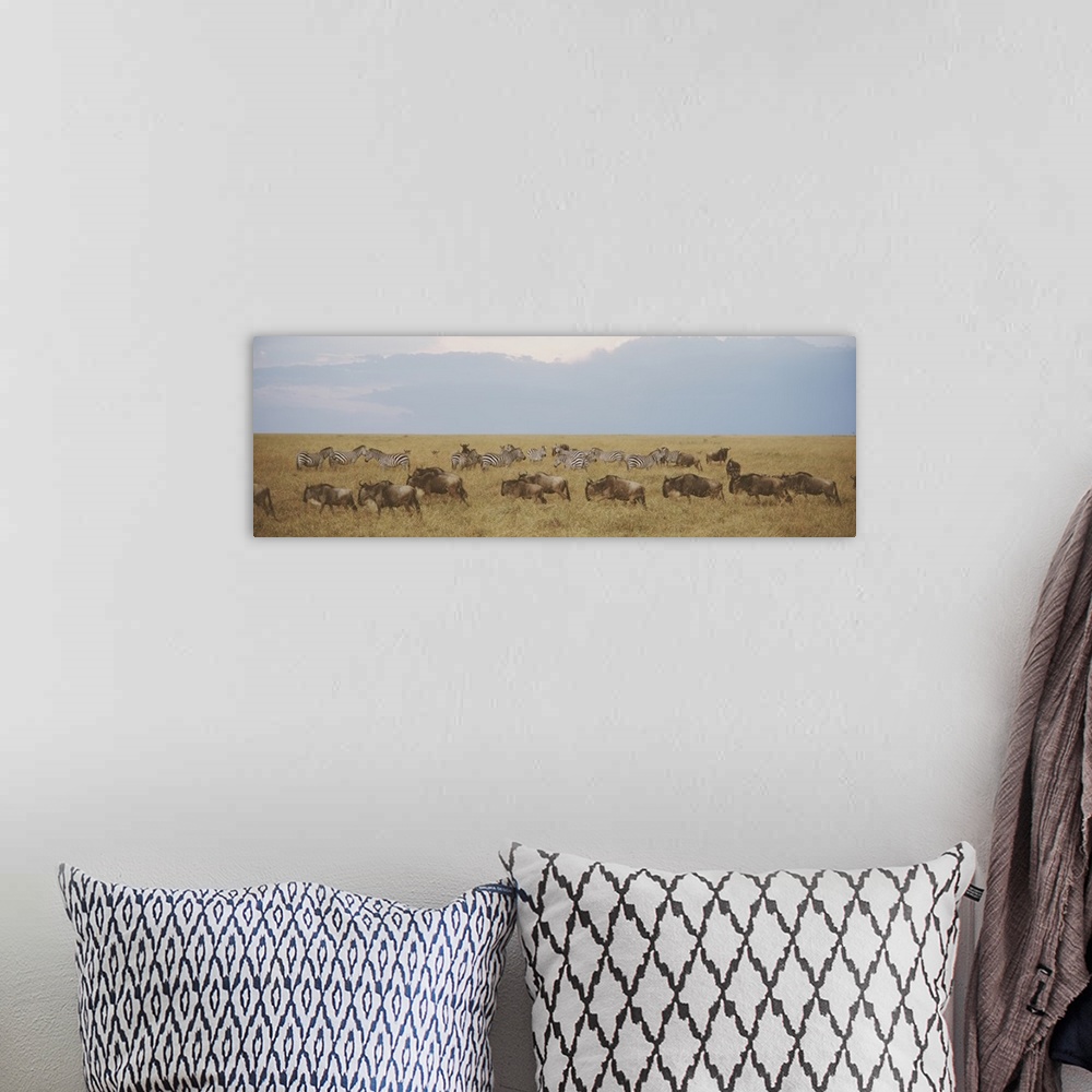A bohemian room featuring Panoramic photograph of meadow filled with animals.
