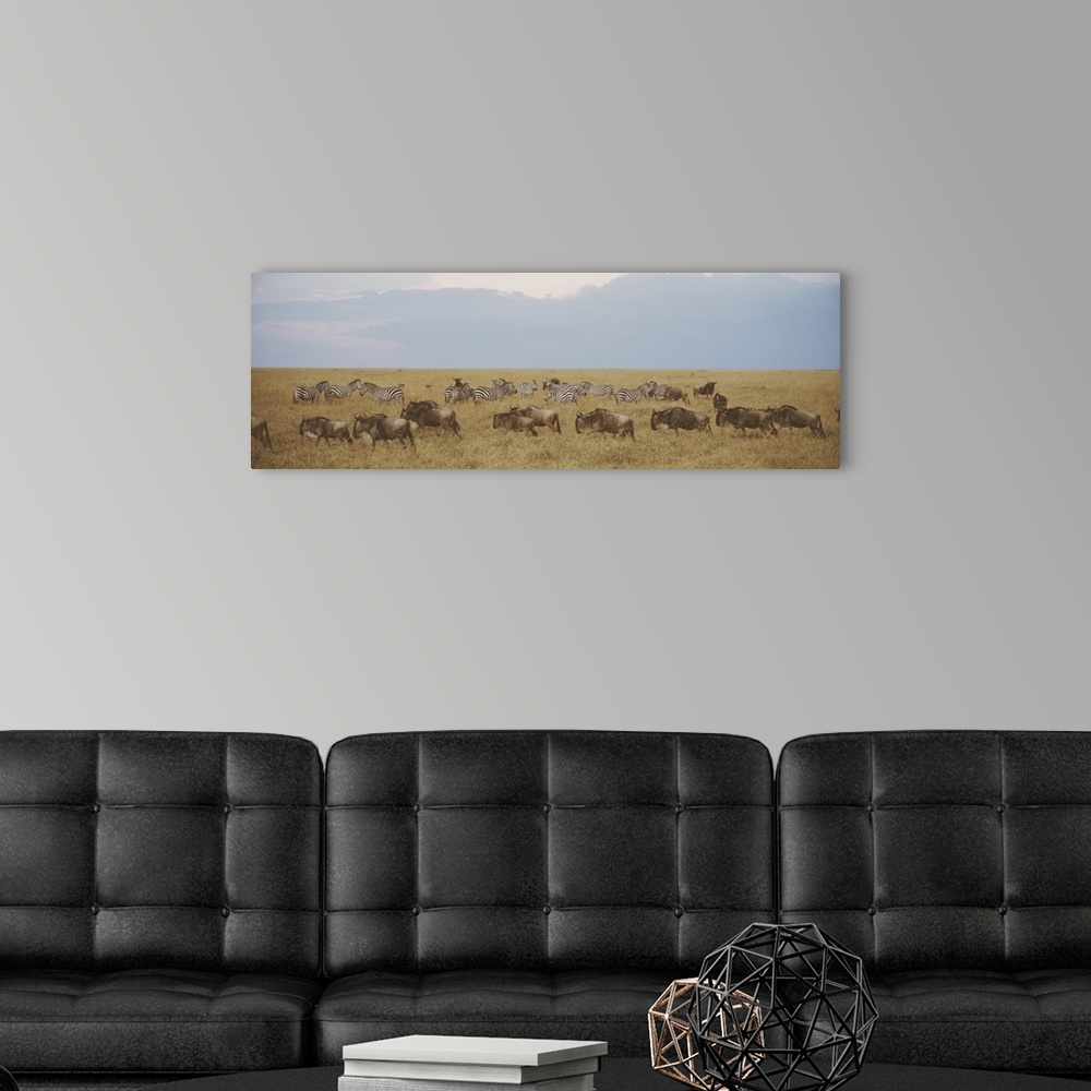 A modern room featuring Panoramic photograph of meadow filled with animals.