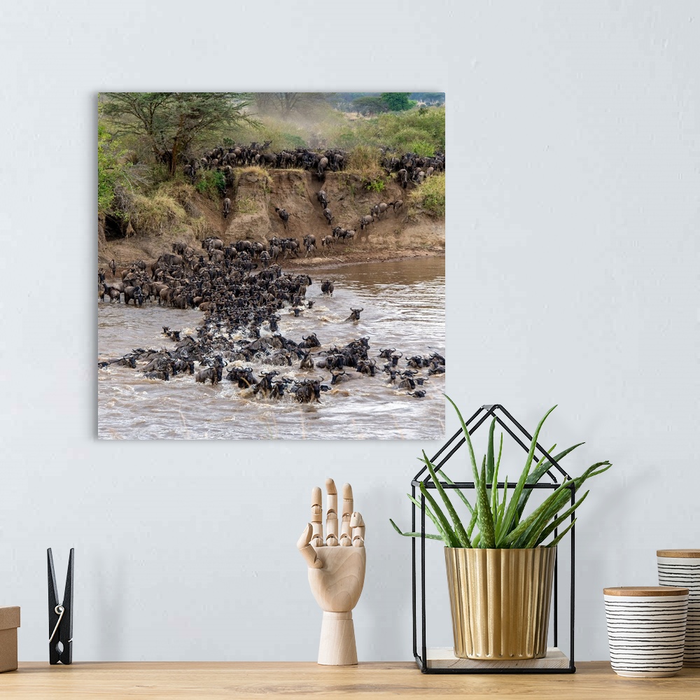 A bohemian room featuring Wildebeests crossing Mara River, Serengeti National Park, Tanzania
