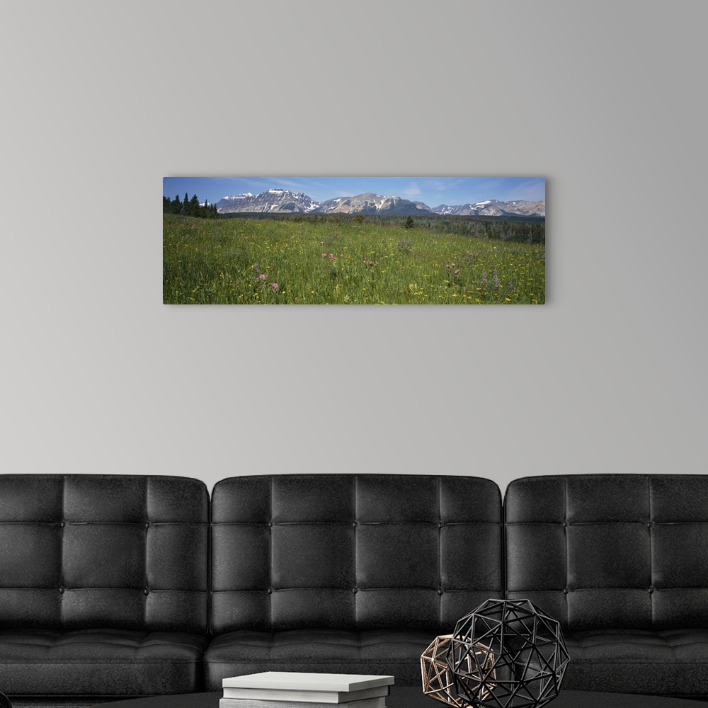 A modern room featuring Wildflower Meadow Rocky Mountains MT