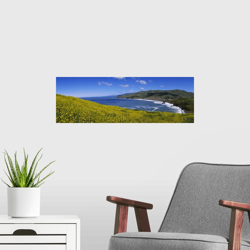 A modern room featuring Wildflowers at the coast, Marin Headlands, California