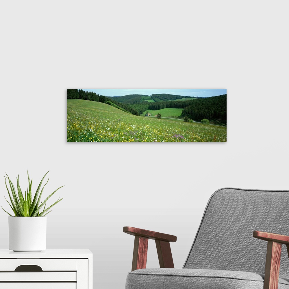 A modern room featuring Wildflowers Black Forest Germany