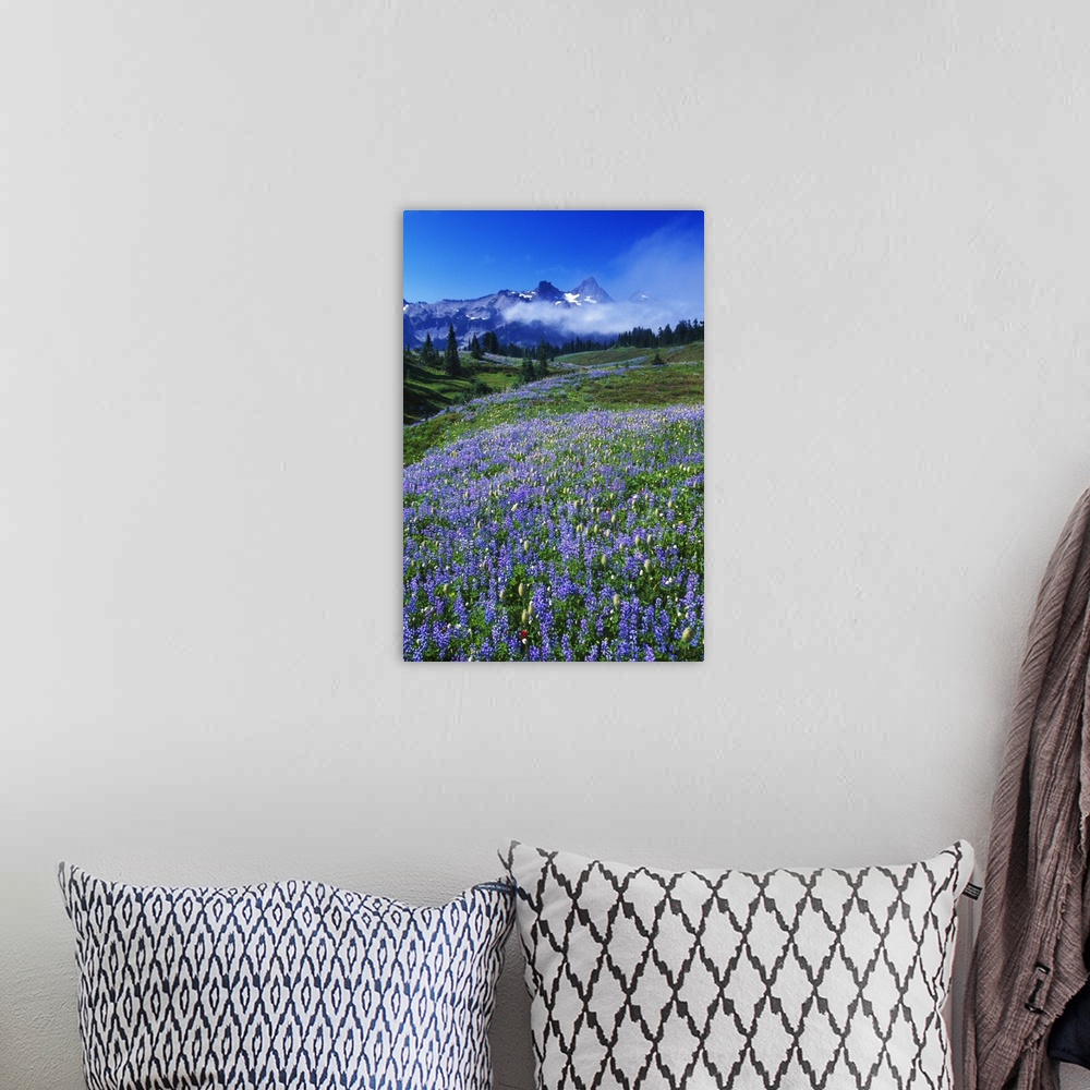 A bohemian room featuring Vertical photo of distant rocky mountain peaks at the edge of a lush temperate valley full of eve...
