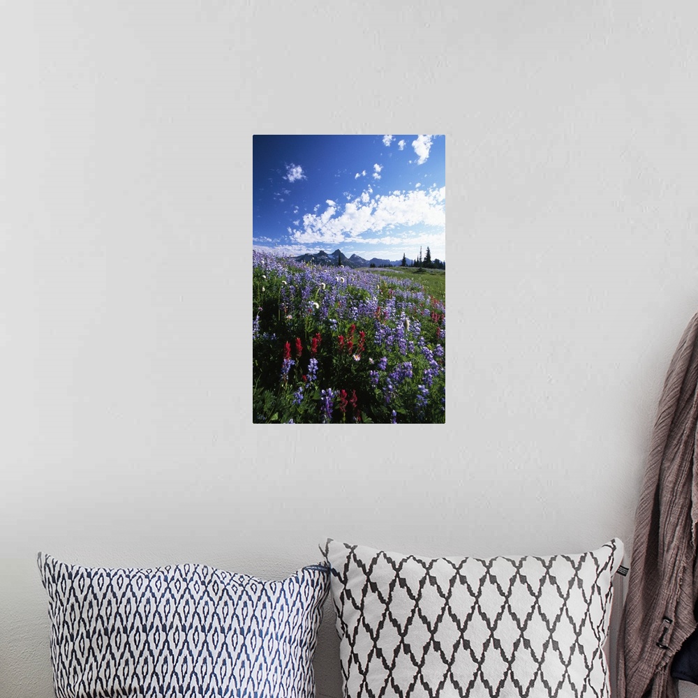A bohemian room featuring Portrait photograph on a big canvas of vibrant wildflowers in a vast meadow, the Tattoosh Mountai...