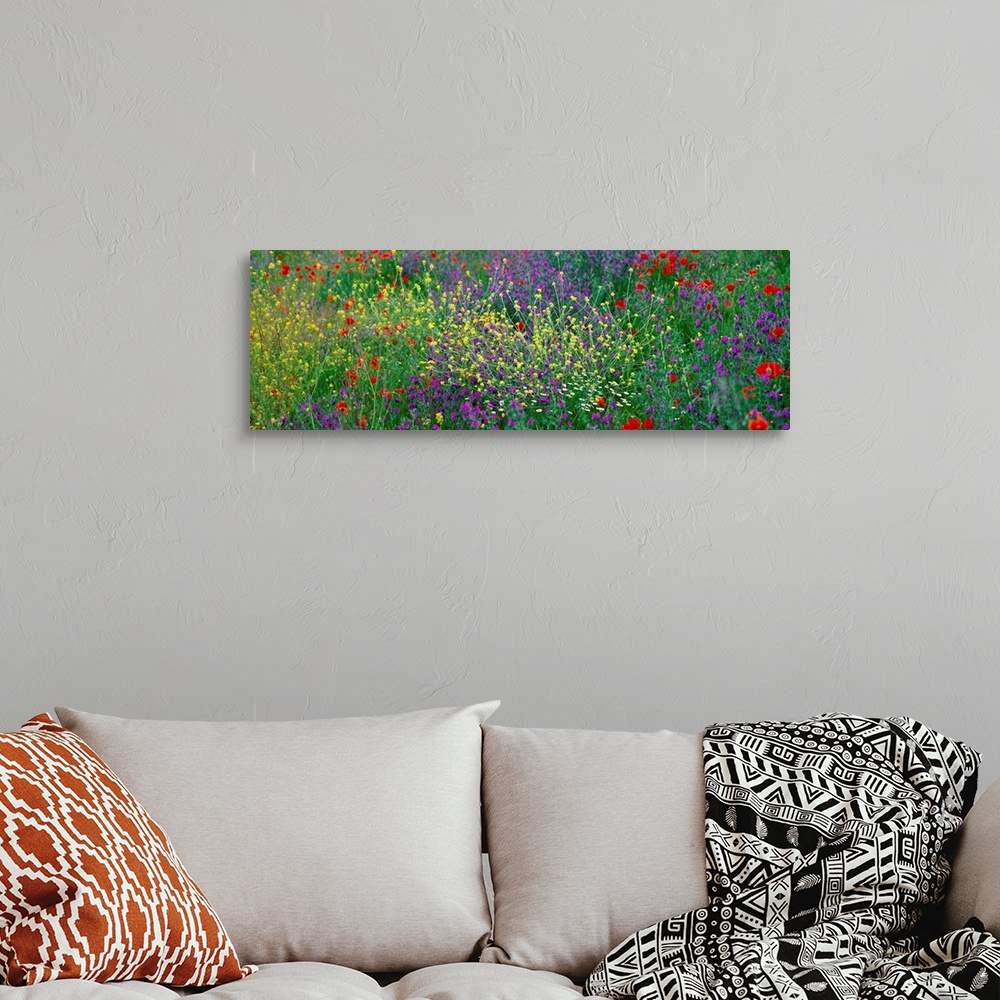 A bohemian room featuring Panoramic photograph of meadow of brightly colored flowers and tall grass