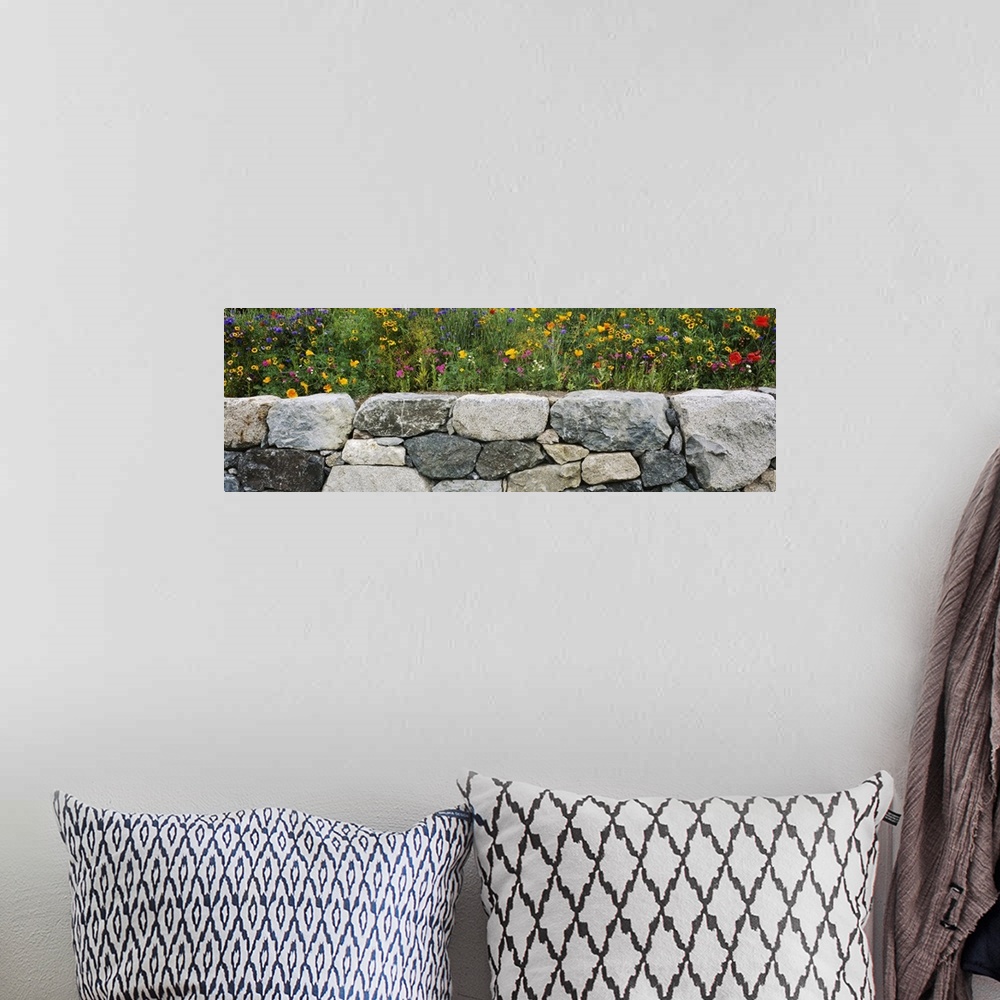 A bohemian room featuring Wildflowers growing near a stone wall, Fidalgo Island, Skagit County, Washington State