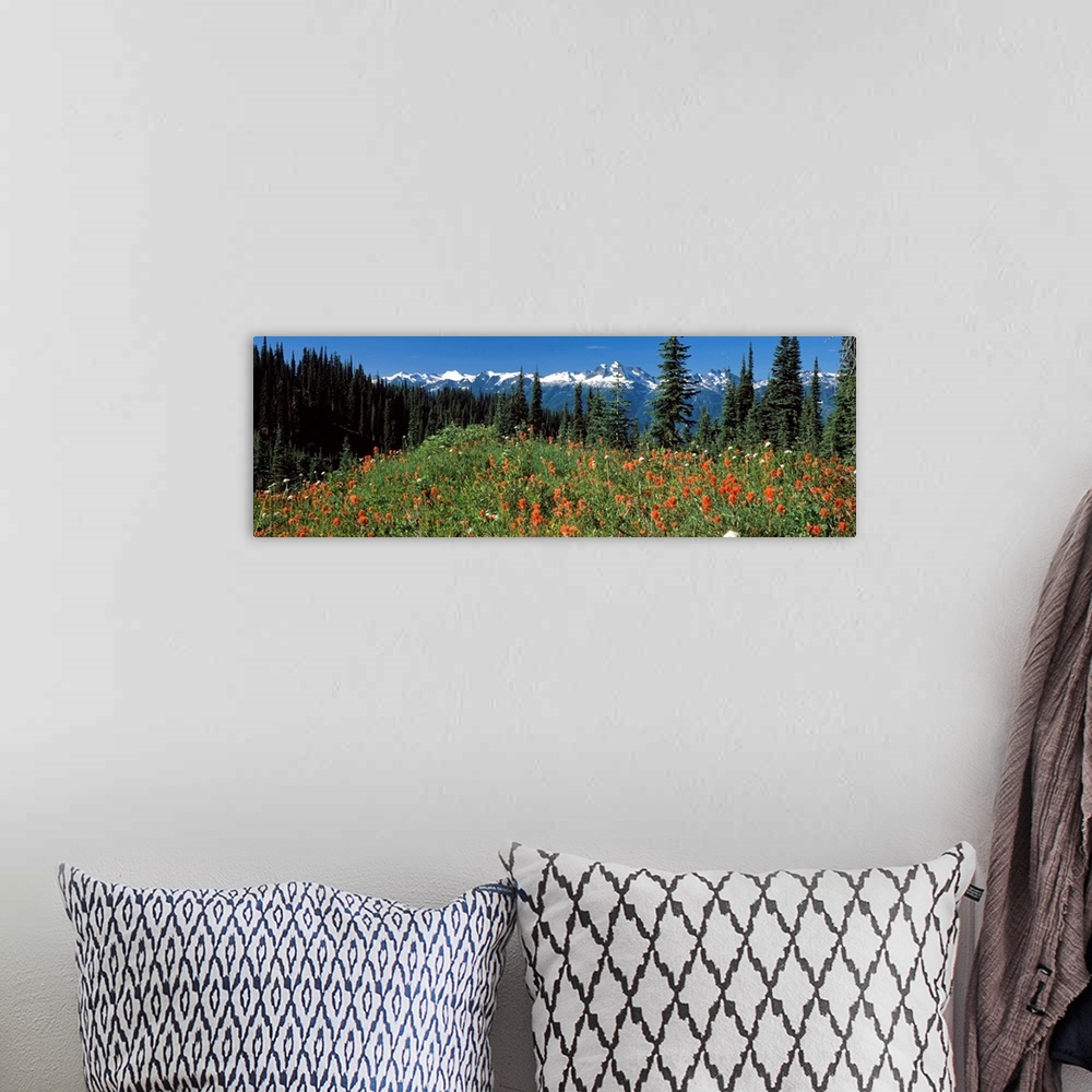 A bohemian room featuring Begbie Mountain Revelstoke National Park BC Canada
