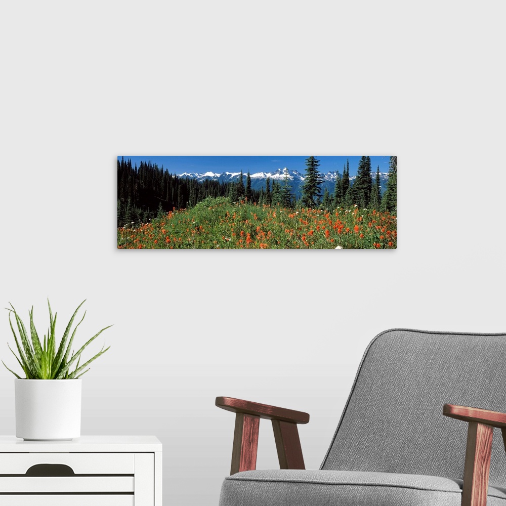 A modern room featuring Begbie Mountain Revelstoke National Park BC Canada