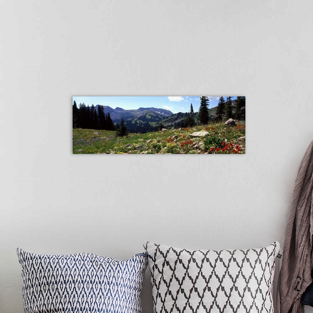 A bohemian room featuring Horizontal canvas photo art of a field of flowers with rugged mountains in the distance.