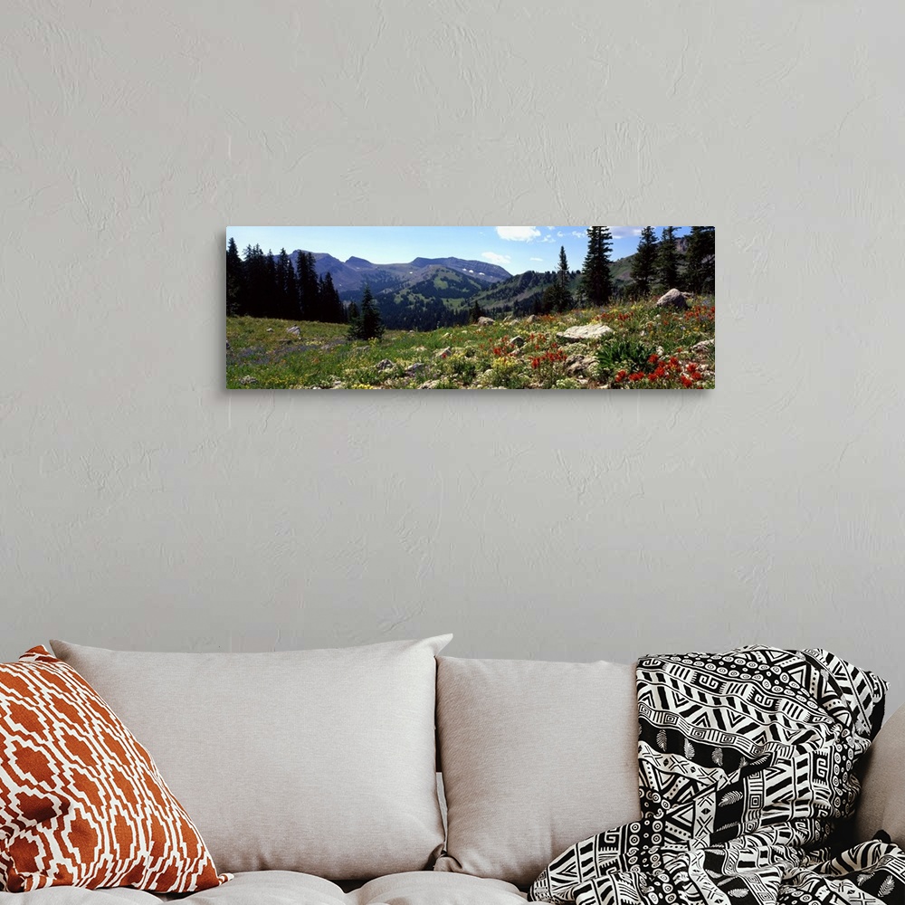 A bohemian room featuring Horizontal canvas photo art of a field of flowers with rugged mountains in the distance.