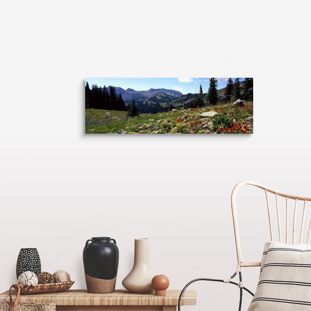 A farmhouse room featuring Horizontal canvas photo art of a field of flowers with rugged mountains in the distance.