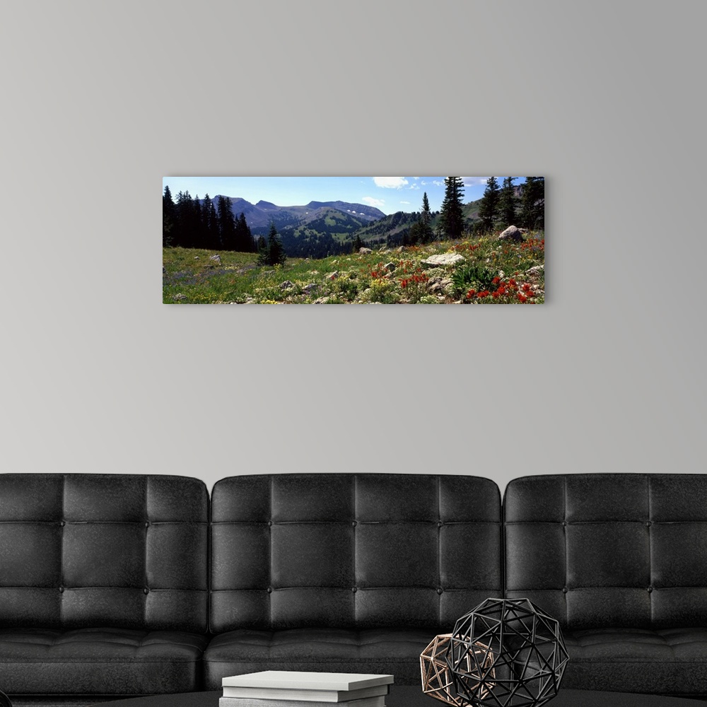 A modern room featuring Horizontal canvas photo art of a field of flowers with rugged mountains in the distance.