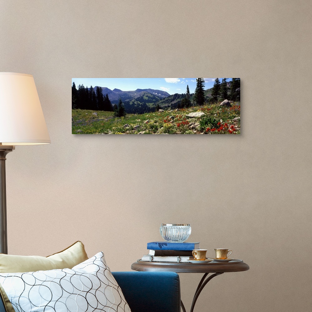 A traditional room featuring Horizontal canvas photo art of a field of flowers with rugged mountains in the distance.