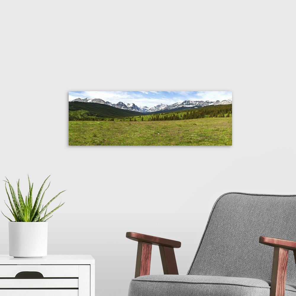 A modern room featuring Wildflowers in a field with mountain range, Glacier National Park, Montana
