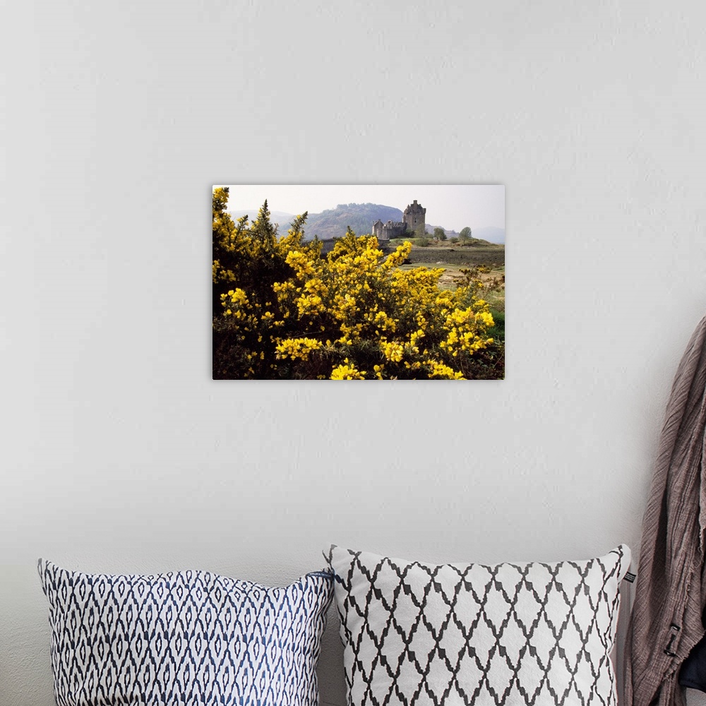 A bohemian room featuring Wildflowers in bloom, distant Eilean Donan Castle, Scotland.
