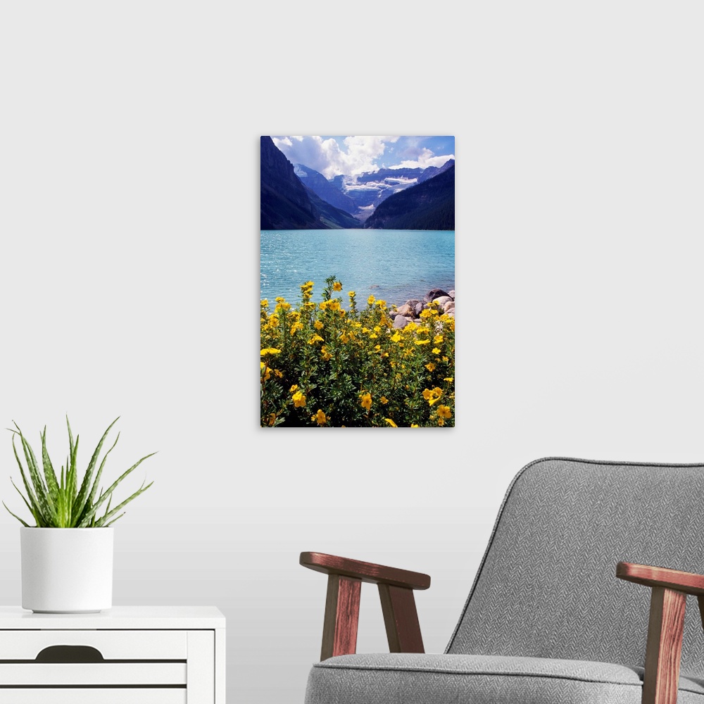 A modern room featuring Panoramic photograph showcases a group of colorful flowers sitting on a rocky shore around a larg...