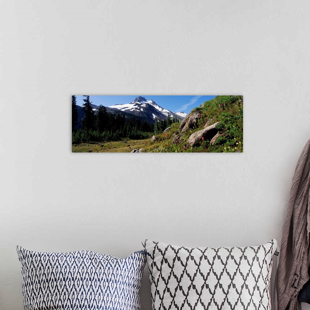 A bohemian room featuring Wildflowers Mount Jefferson Wilderness OR