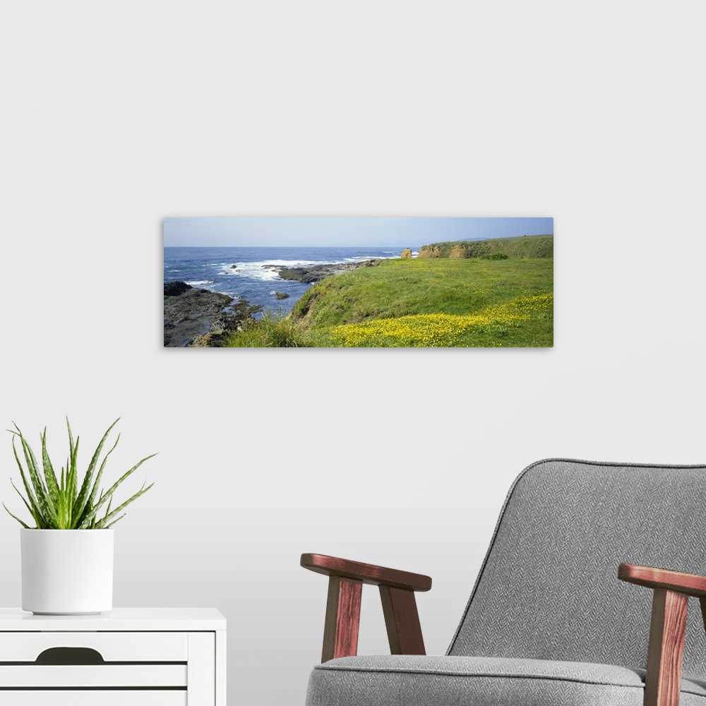 A modern room featuring Wildflowers on a cliff near an ocean, Marin Headlands, Westport, California