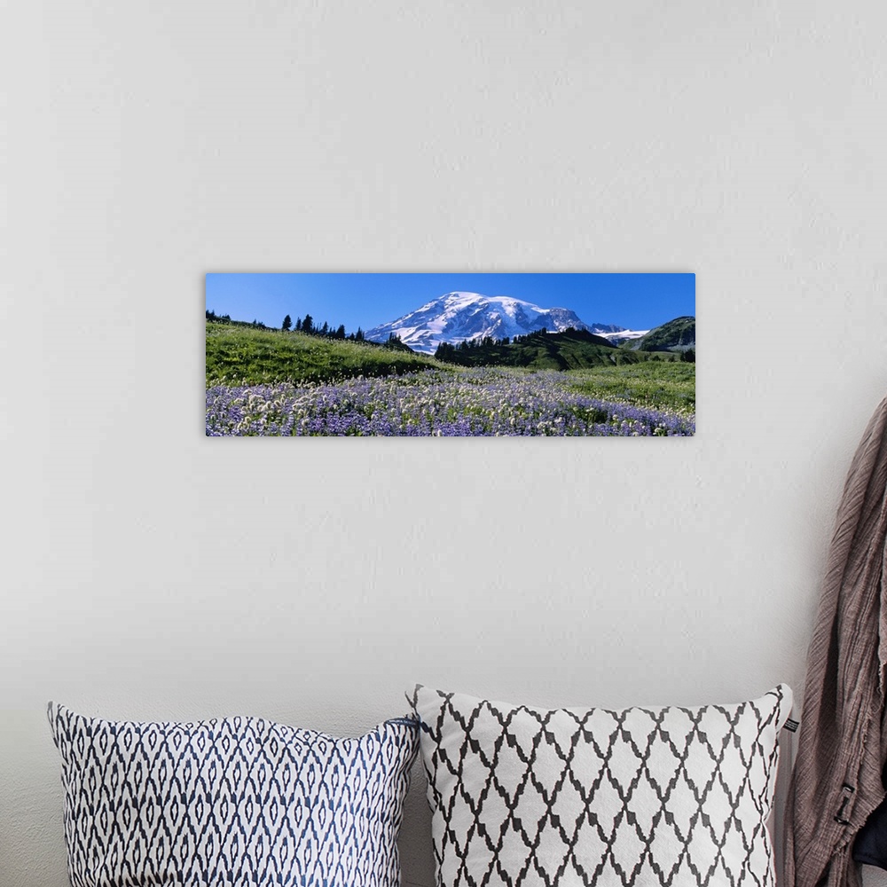 A bohemian room featuring Wildflowers on a landscape, Mt Rainier National Park, Washington State