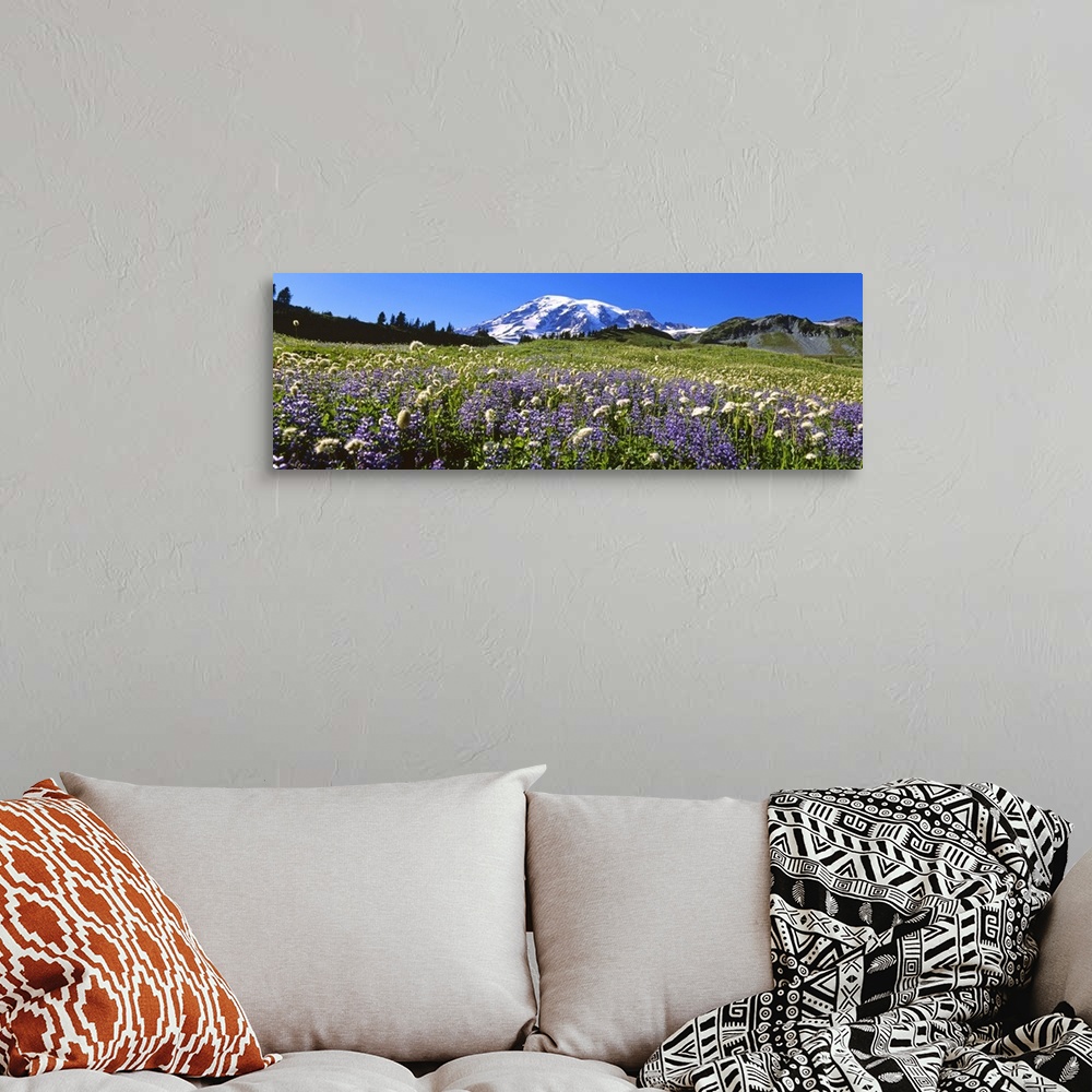 A bohemian room featuring Wildflowers on a landscape, Mt Rainier National Park, Washington State