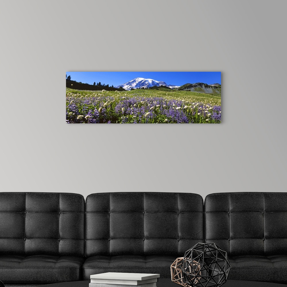 A modern room featuring Wildflowers on a landscape, Mt Rainier National Park, Washington State
