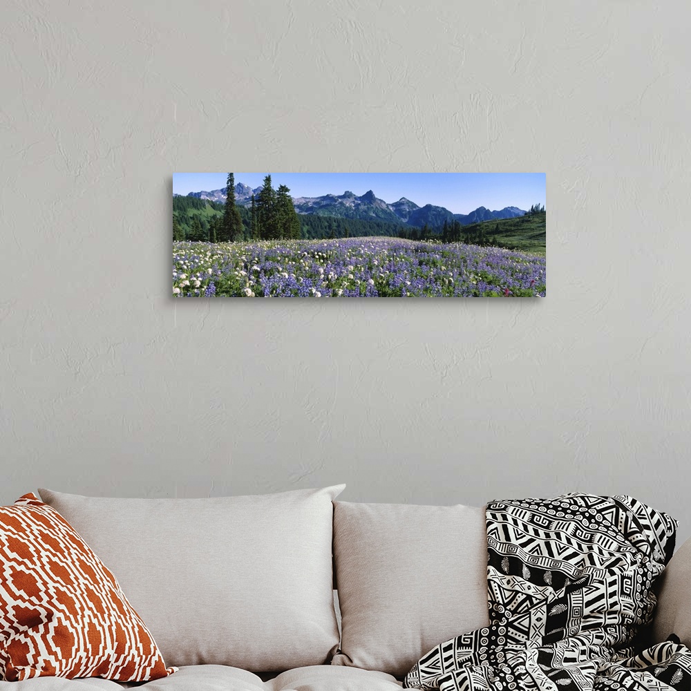 A bohemian room featuring Wildflowers on a landscape, Tatoosh Range, Mt Rainier National Park, Washington State
