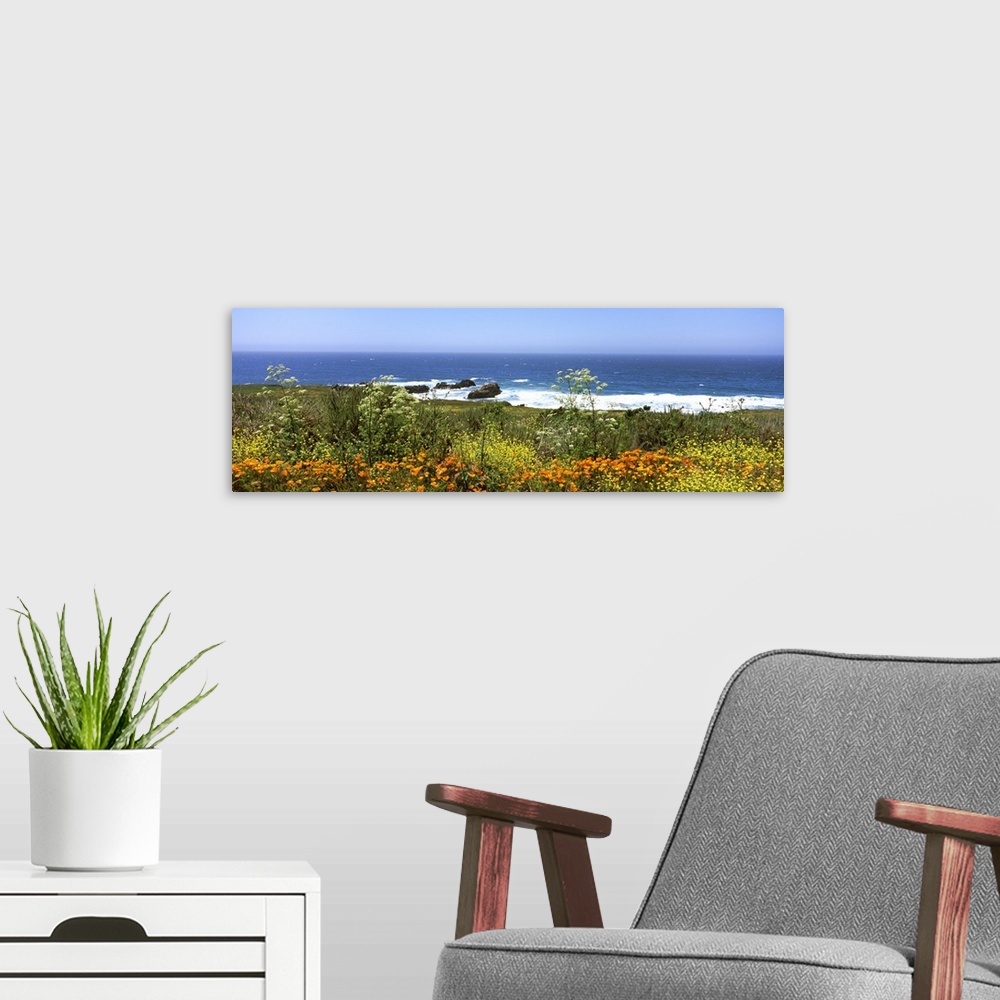 A modern room featuring Wildflowers on the coast California State Route 1 California