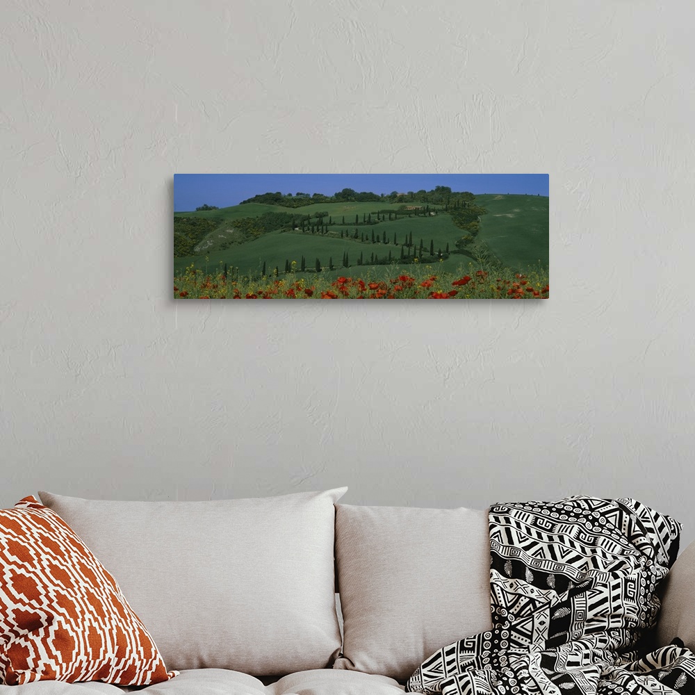 A bohemian room featuring Winding road on a landscape, Crete Senesi, Pienza, Tuscany, Italy