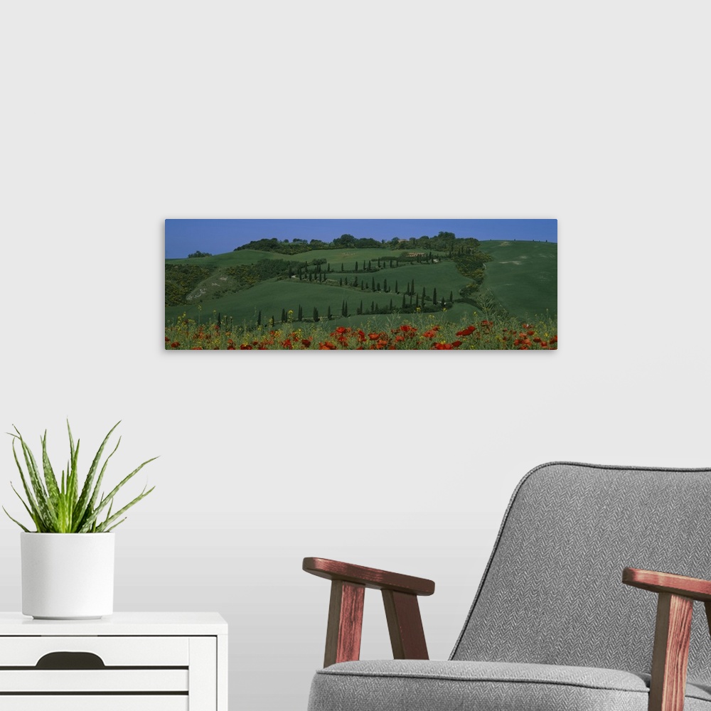 A modern room featuring Winding road on a landscape, Crete Senesi, Pienza, Tuscany, Italy