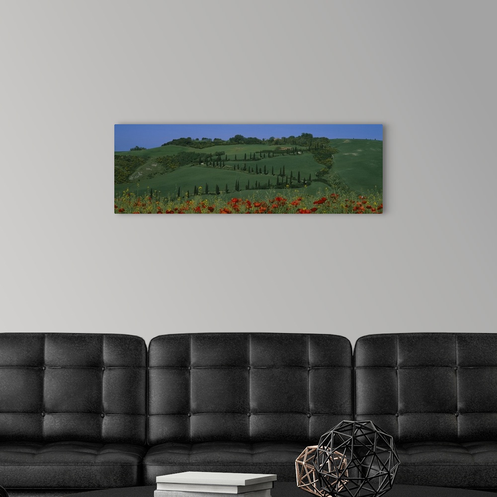 A modern room featuring Winding road on a landscape, Crete Senesi, Pienza, Tuscany, Italy