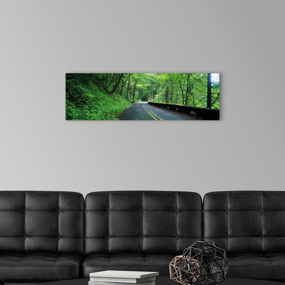 A modern room featuring Winding road through forest