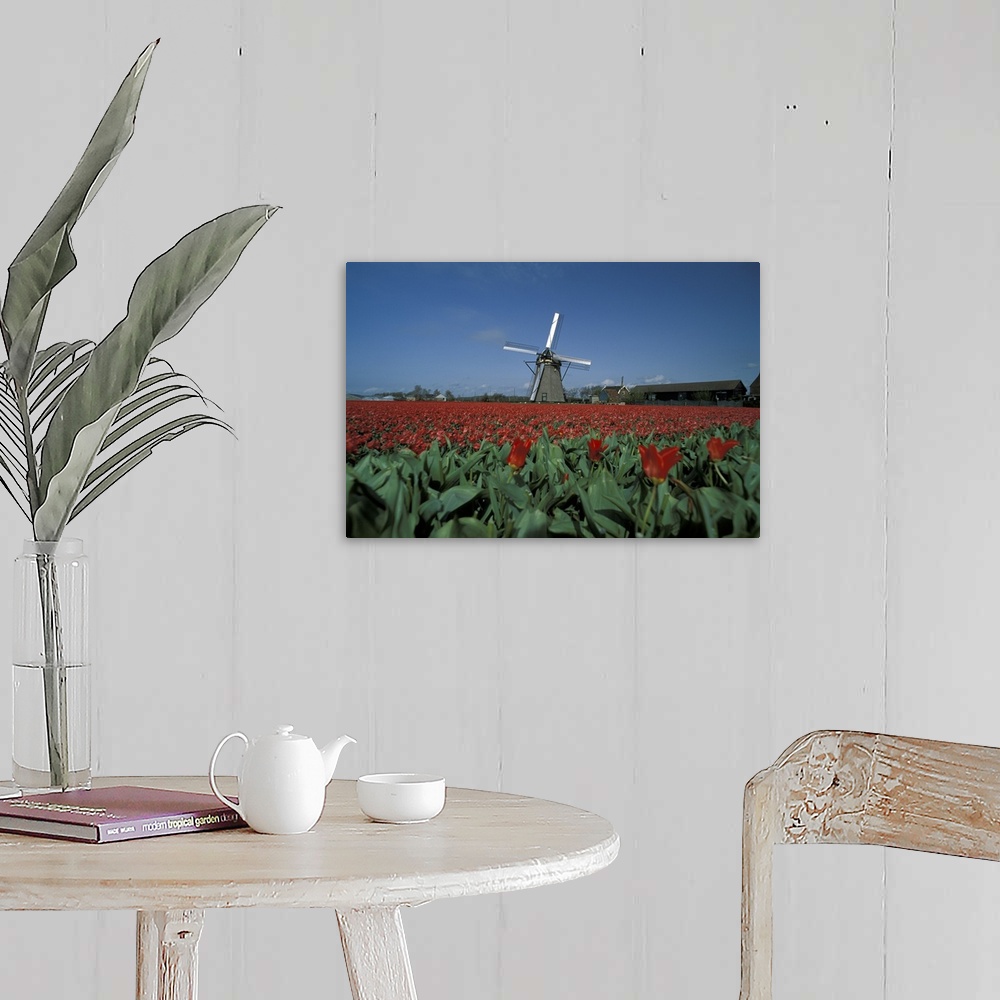 A farmhouse room featuring Windmill Amsterdam Netherlands