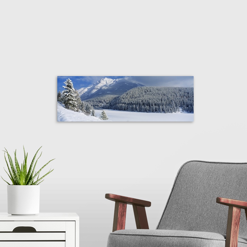 A modern room featuring Winter Banff National Park Alberta Canada