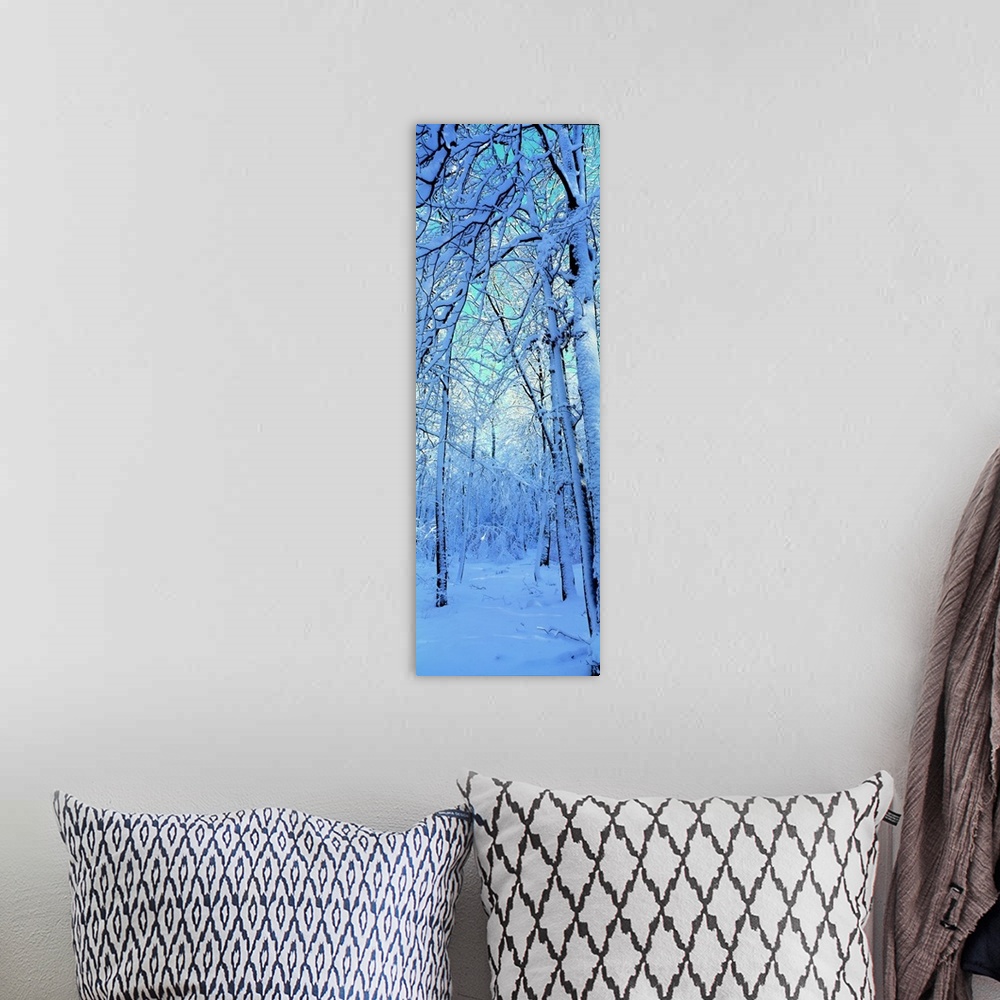 A bohemian room featuring Tall and narrow photo on canvas of a forest with snow covered trees.