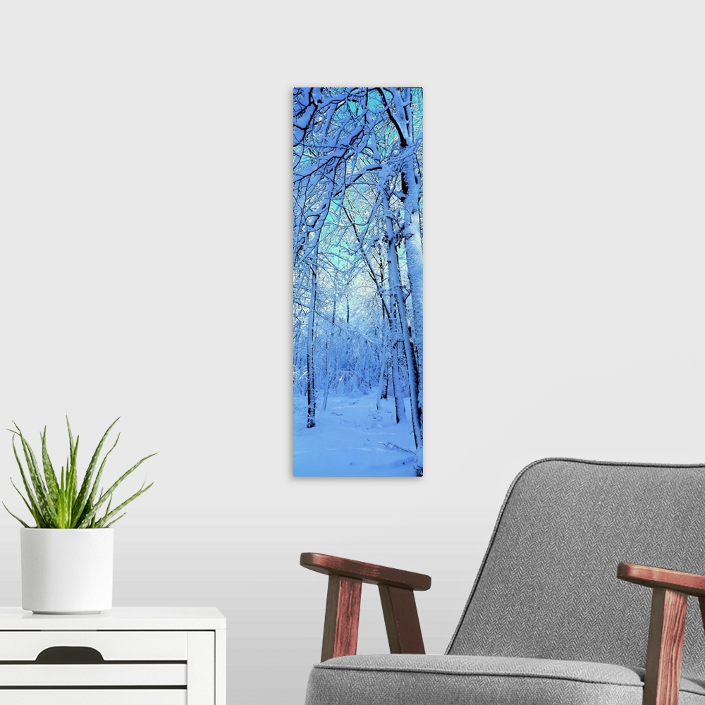 A modern room featuring Tall and narrow photo on canvas of a forest with snow covered trees.