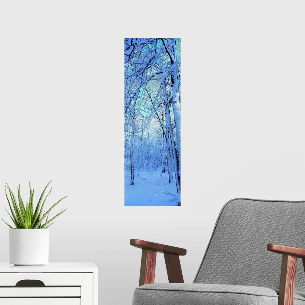 A modern room featuring Tall and narrow photo on canvas of a forest with snow covered trees.