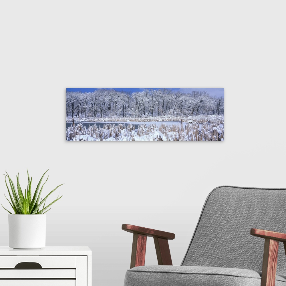 A modern room featuring Winter IL