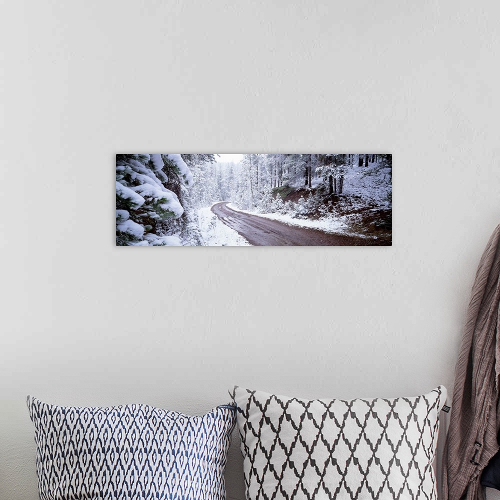 A bohemian room featuring Winter Road MT