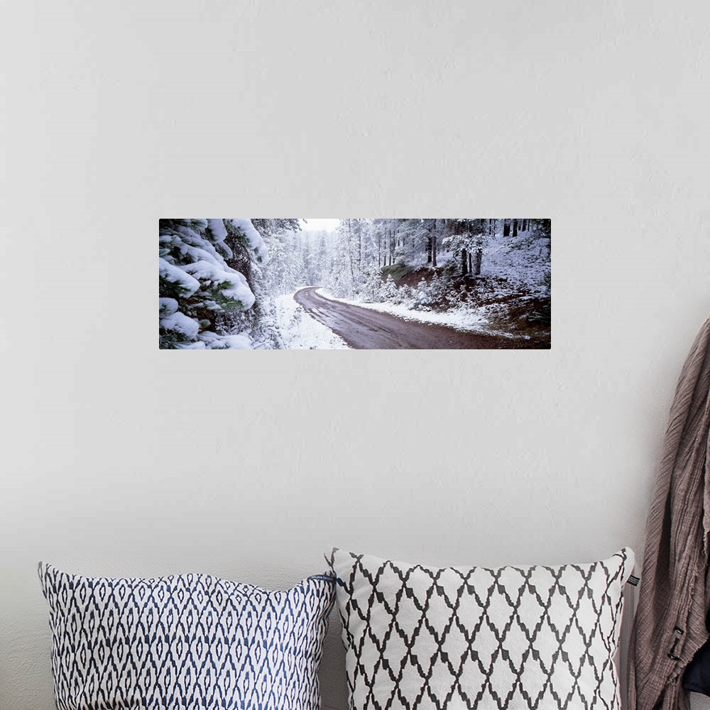 A bohemian room featuring Winter Road MT
