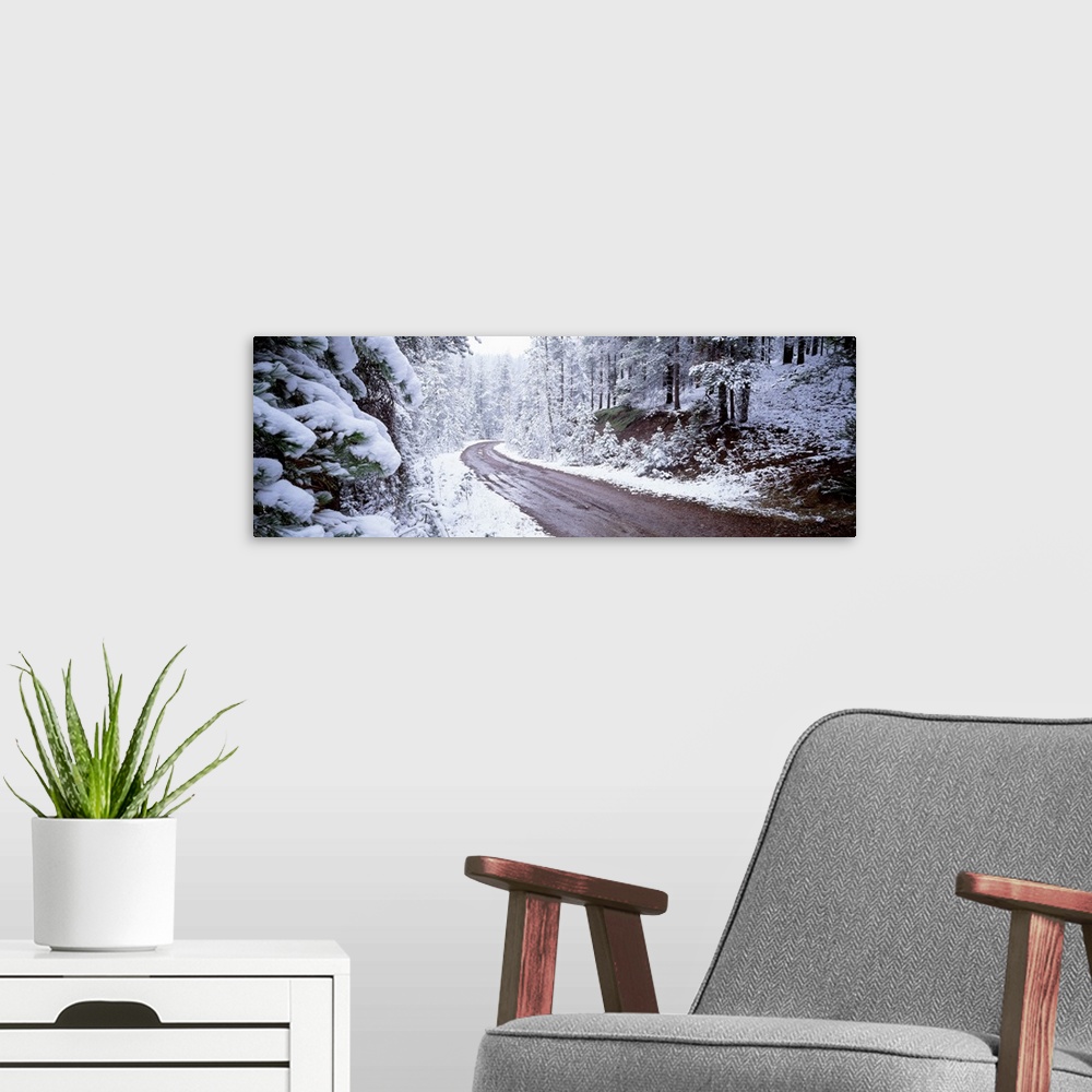 A modern room featuring Winter Road MT