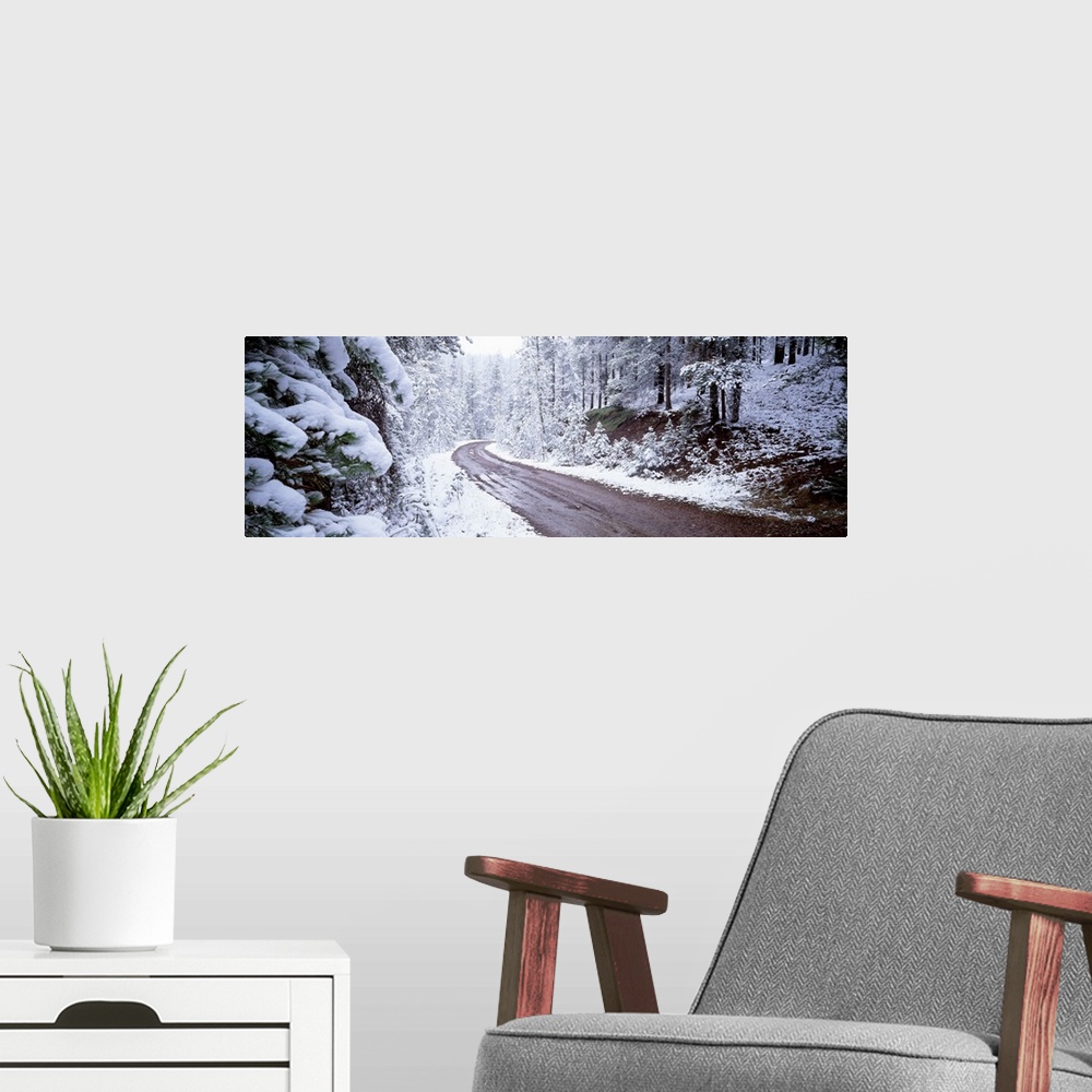 A modern room featuring Winter Road MT