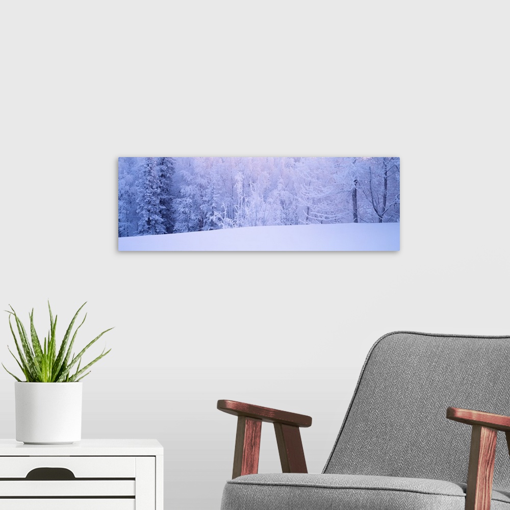 A modern room featuring Winter Scenic AK