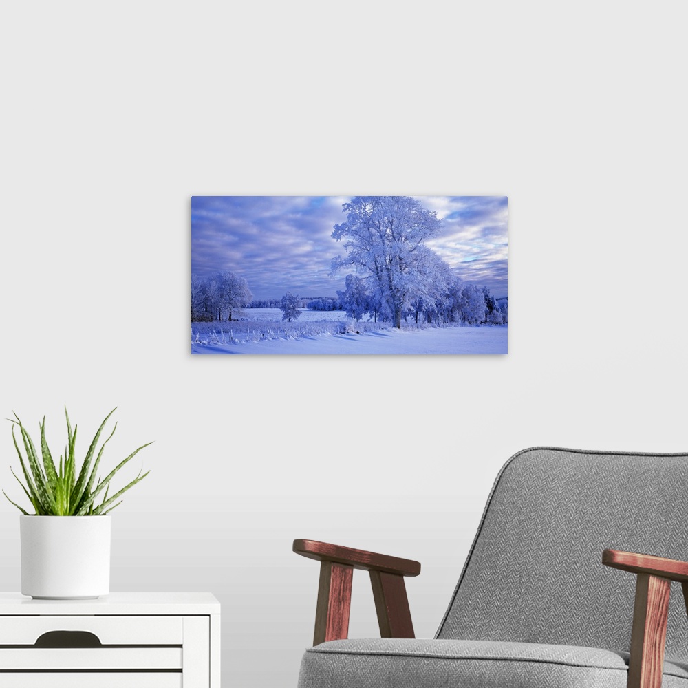A modern room featuring Winter Scenic Betsemark Sweden