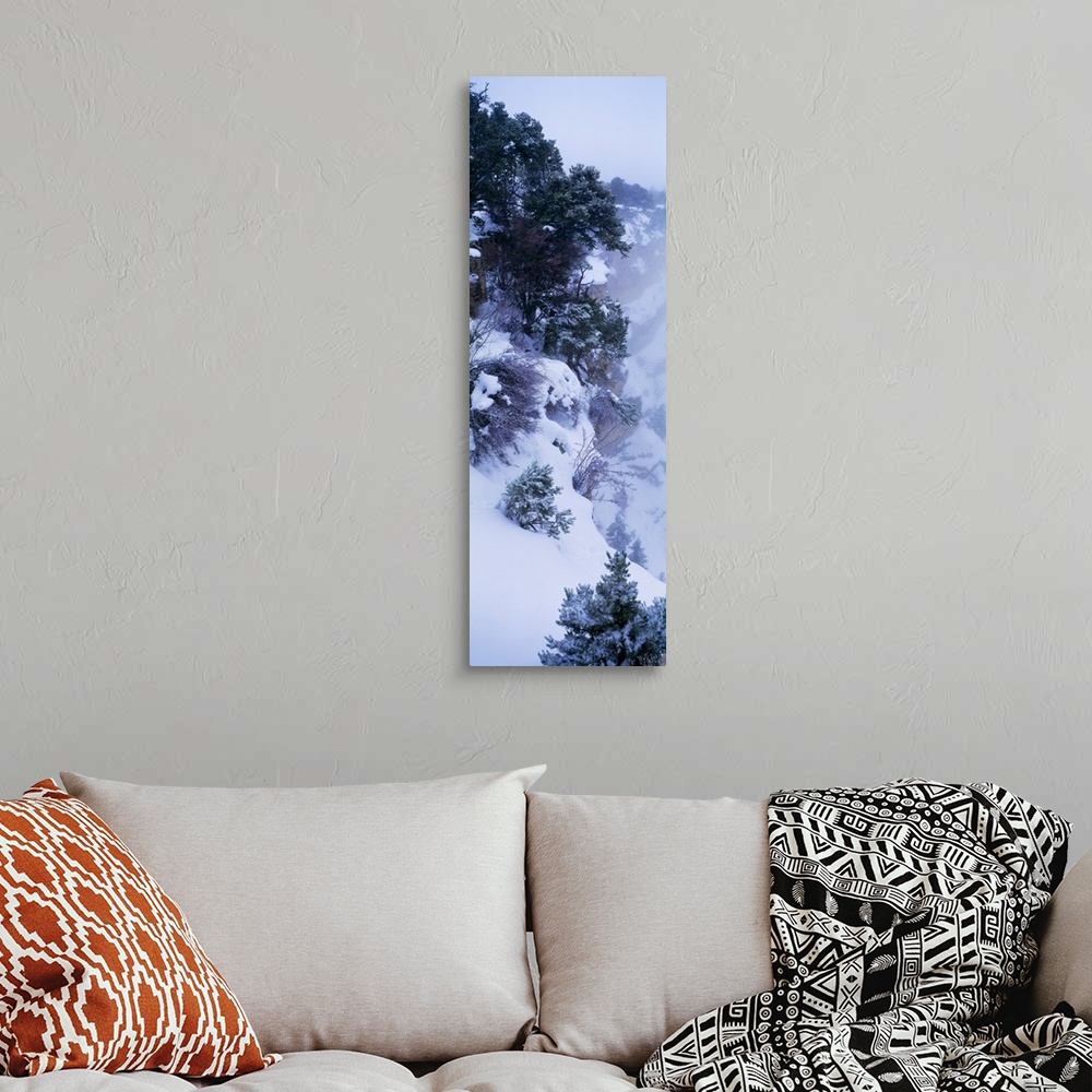 A bohemian room featuring Vertical photograph of a snowy cliffside full of hardy bushes and trees under a deep layer of sno...