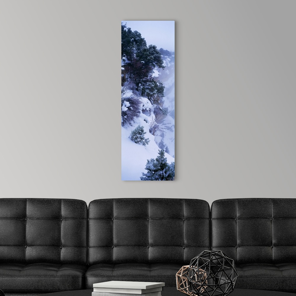 A modern room featuring Vertical photograph of a snowy cliffside full of hardy bushes and trees under a deep layer of sno...