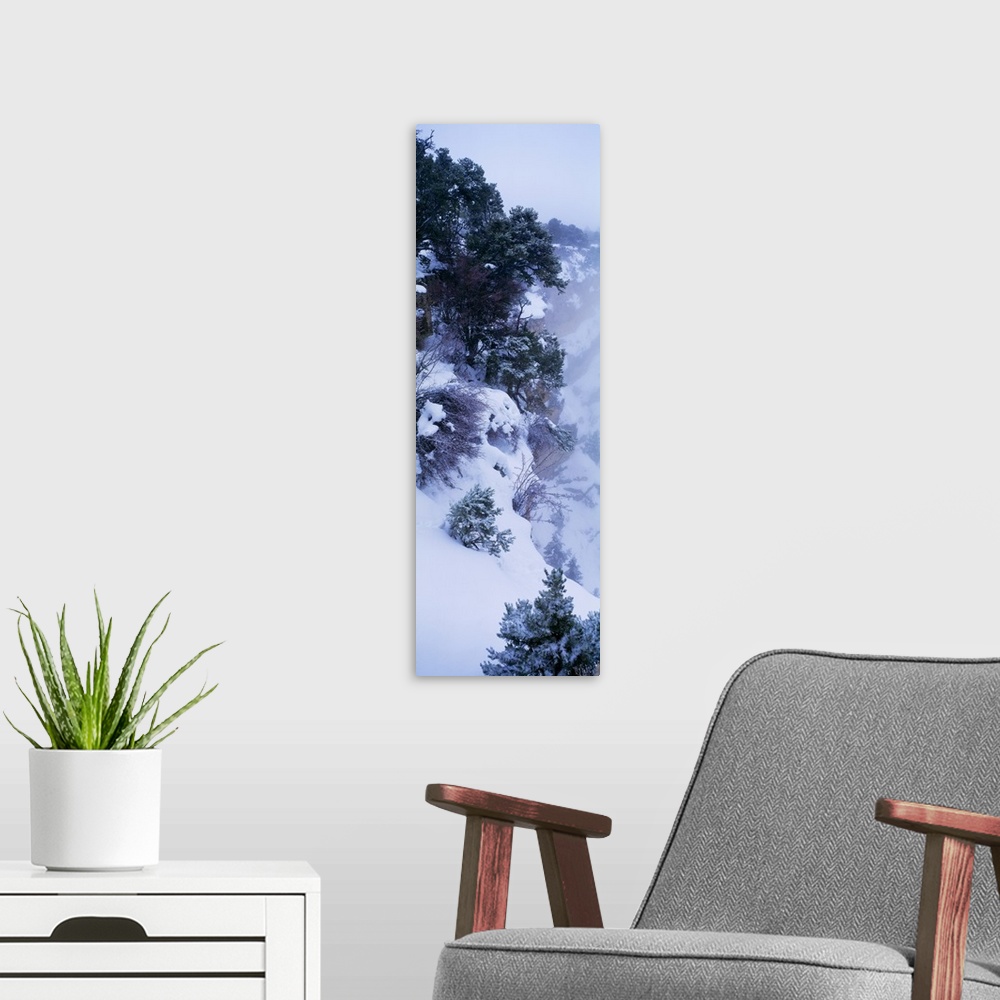 A modern room featuring Vertical photograph of a snowy cliffside full of hardy bushes and trees under a deep layer of sno...