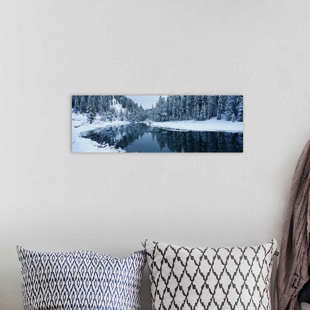 A bohemian room featuring Wide angle photograph taken of a stream during winter with snow covered ground and pine trees lin...