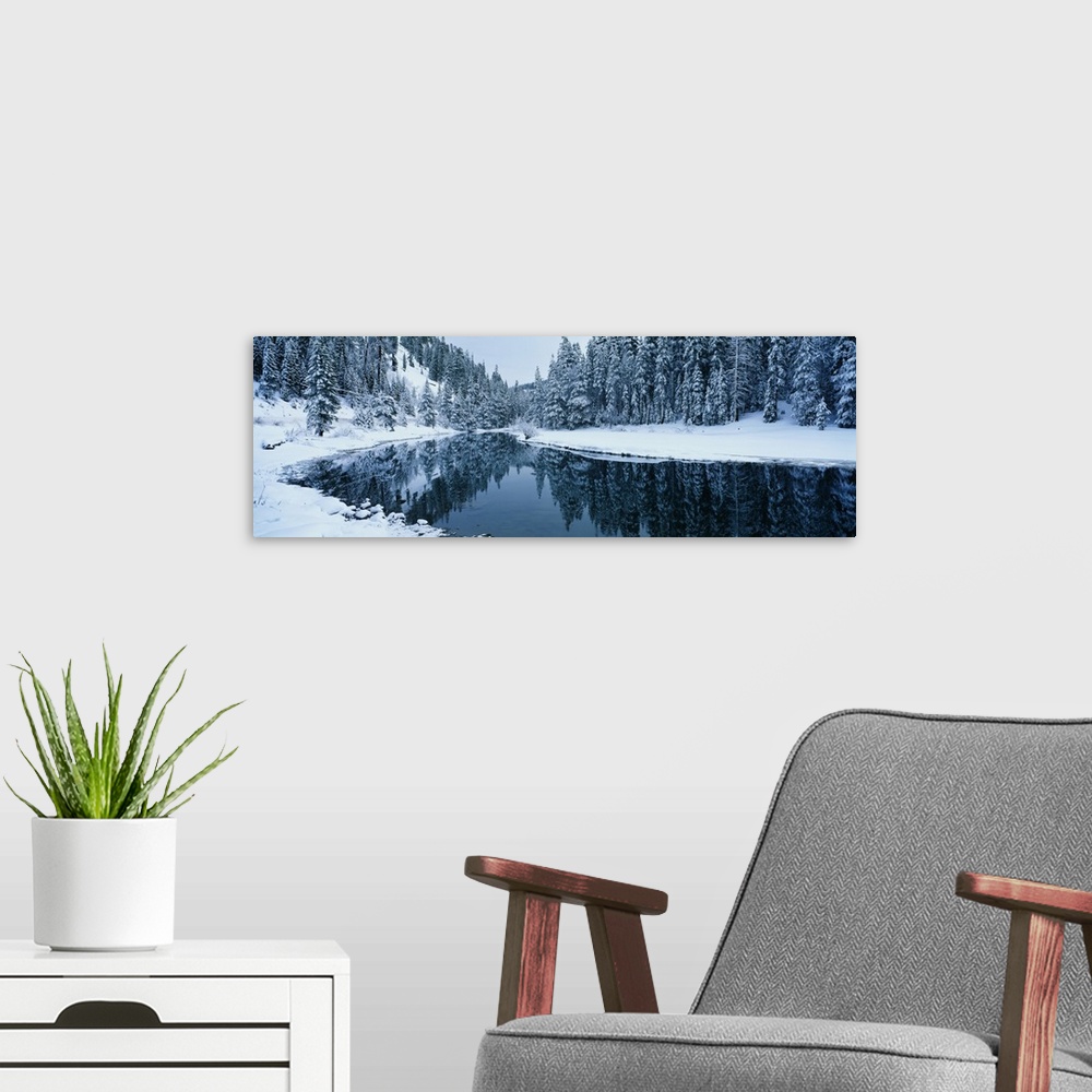 A modern room featuring Wide angle photograph taken of a stream during winter with snow covered ground and pine trees lin...