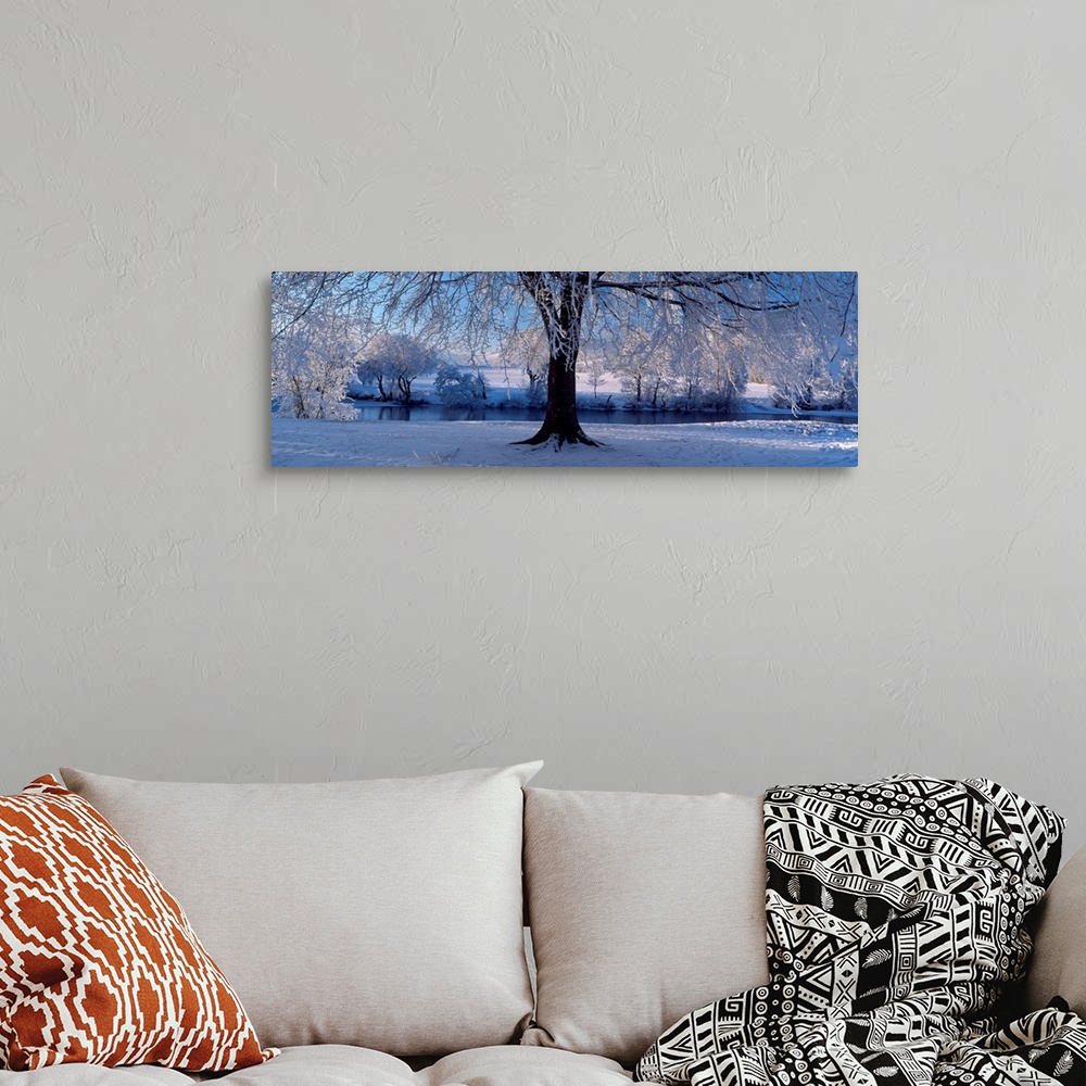 A bohemian room featuring Panoramic size wall art of a tree covered in snow and ice in this landscape photograph.