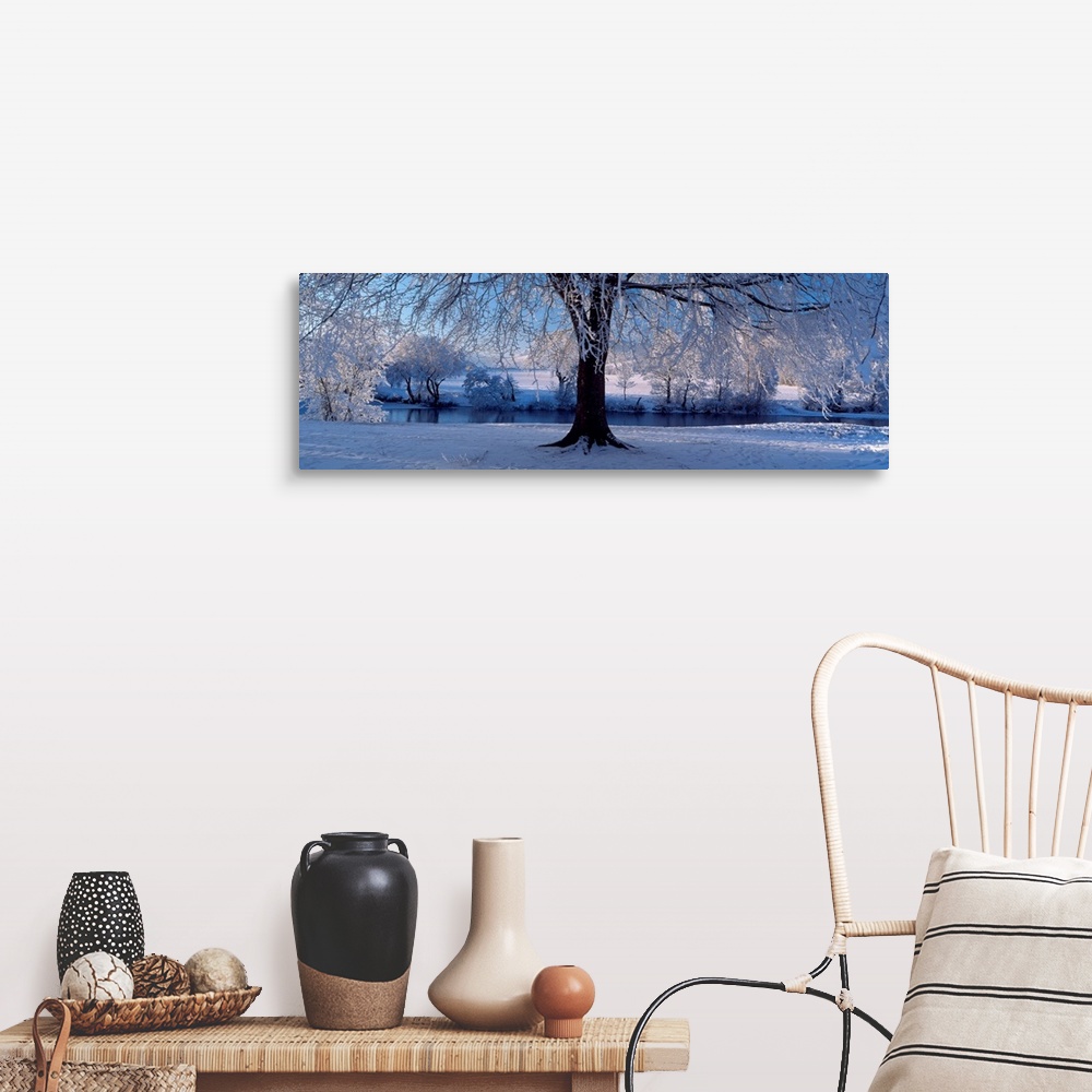 A farmhouse room featuring Panoramic size wall art of a tree covered in snow and ice in this landscape photograph.